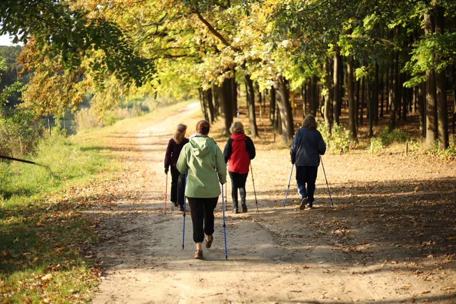 En gruppe mennesker som går på en sti i skogen