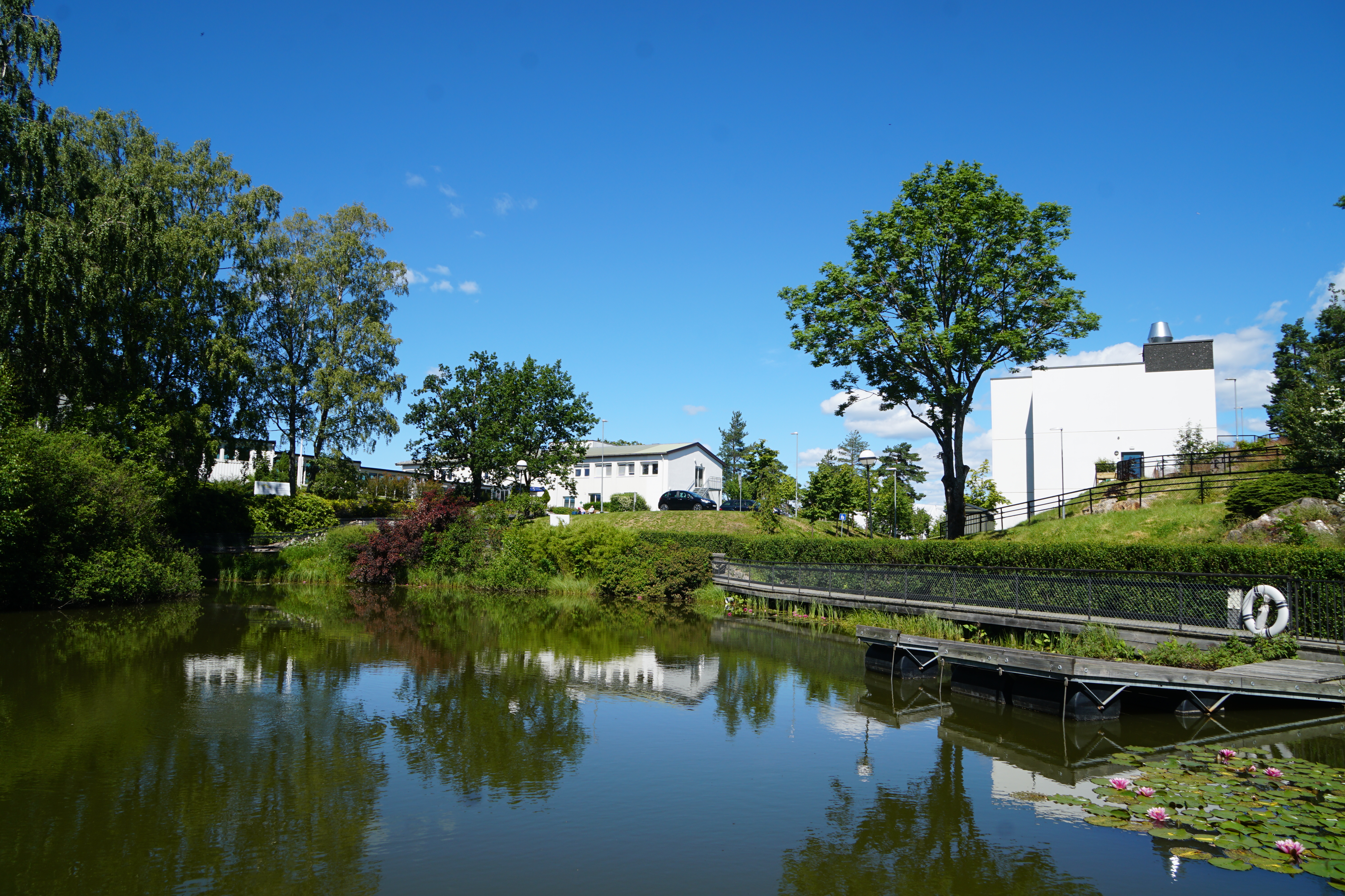 Bilde av en dam og uteområde rundt Sunnaas sykehus
