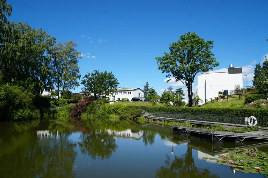 Bilde av en dam og uteområde rundt Sunnaas sykehus