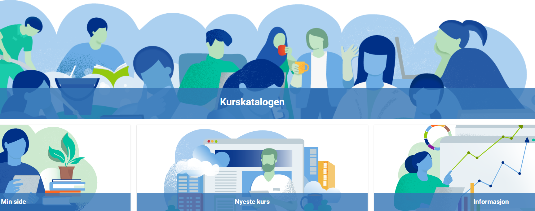 Skjermbilde av kursportalen