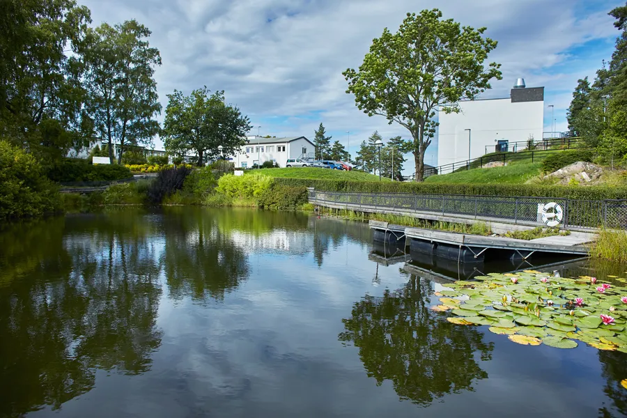 I forgrunnen ser vi fiskedammen på Sunnaas sykehus, bak ligger sykehusbyggene.