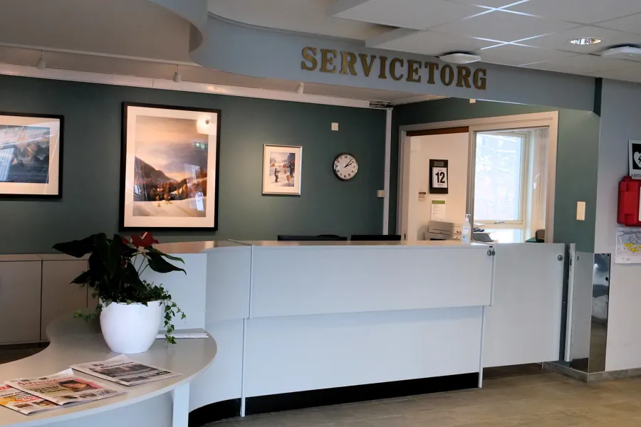 Et rom med en plante og et bord med en plante på