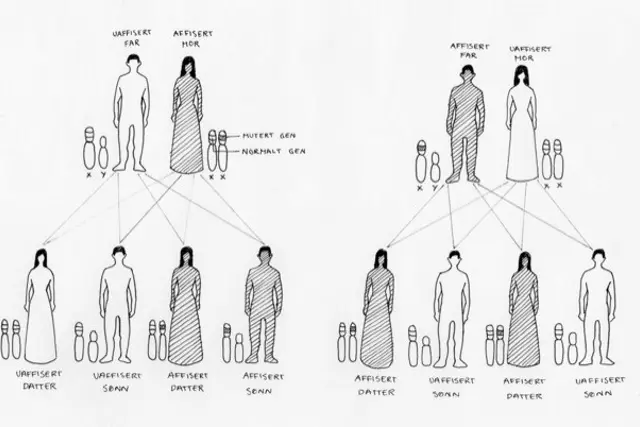 En gruppe mennesker i kjoler