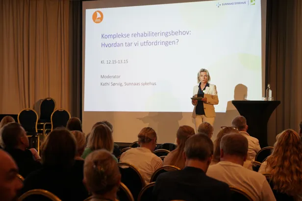 En person som holder en presentasjon for et publikum