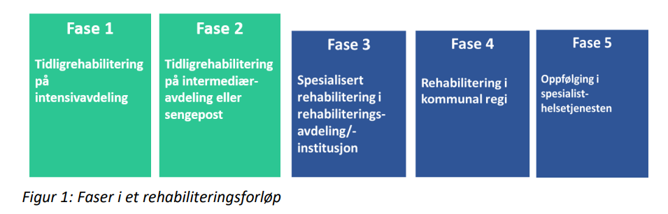 Pasientforløp tidligrehabilitering Helse Sør-Øst