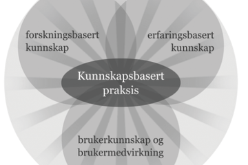 Figur Kunnskapsbasert praksis