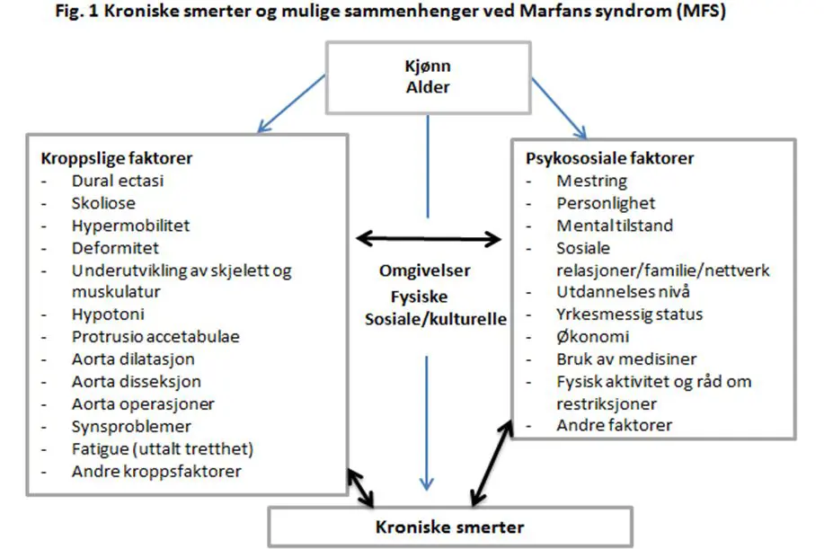 Illustrasjon kroniske smerter og mulige sammenhenger ved Marfans syndrom