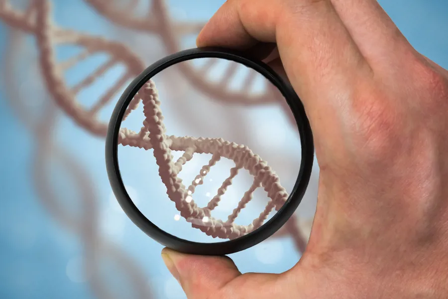 Hånd holder forståørrelseglass over DNA-spiral