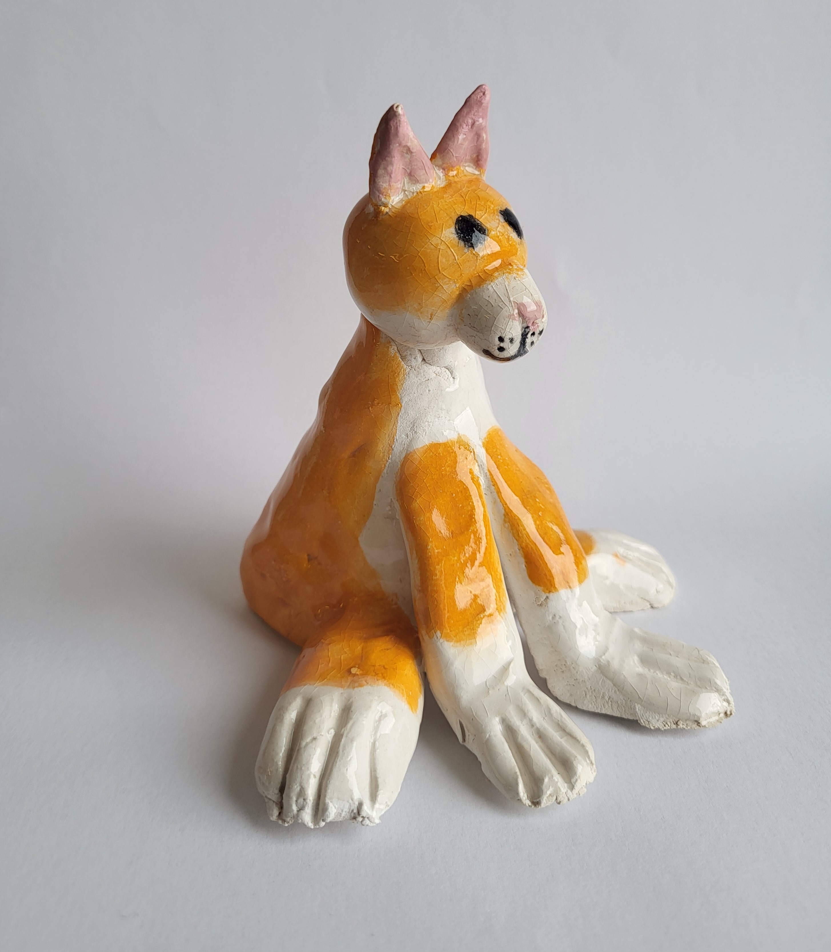 En katt som har på seg et plagg