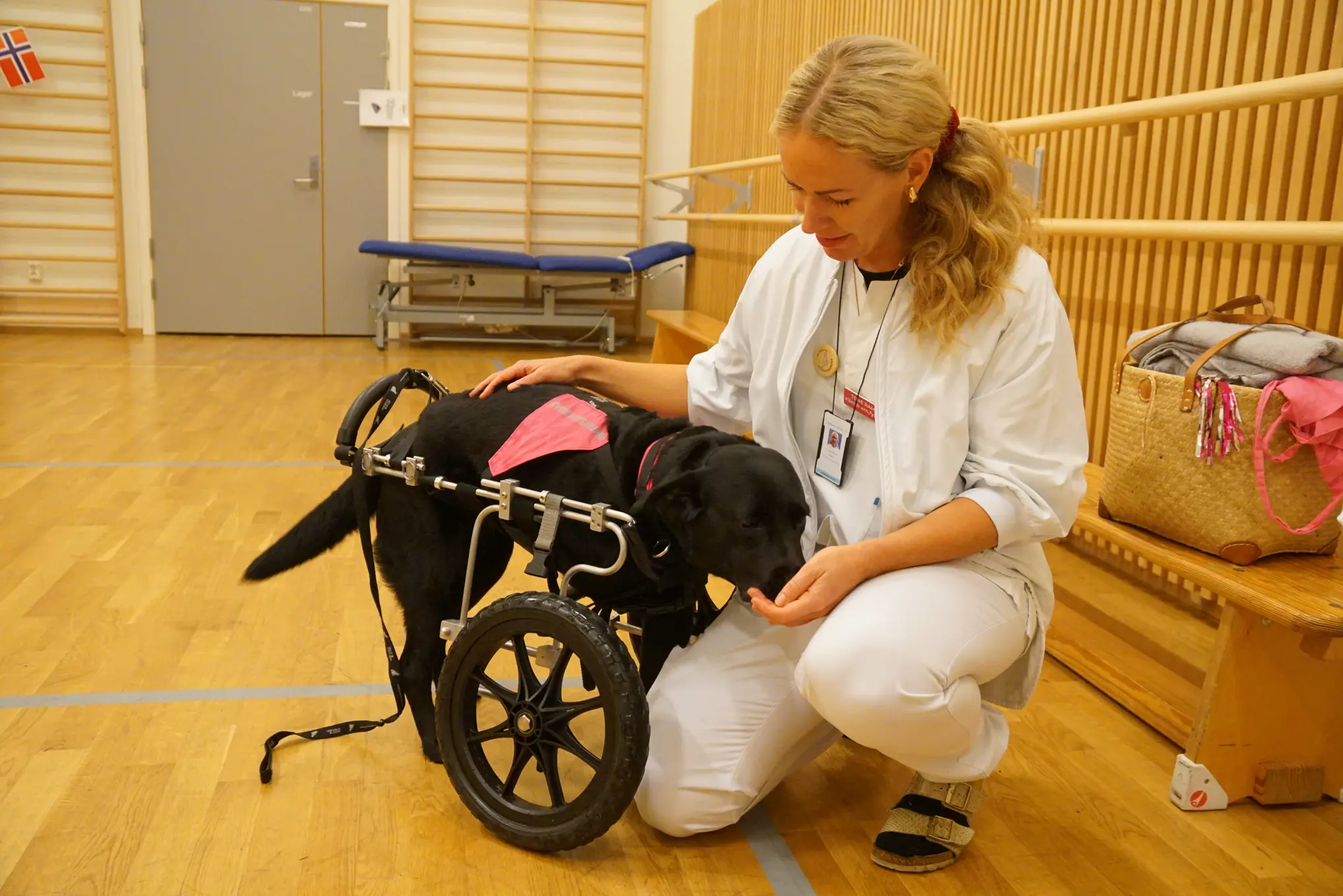 Ivrig, en sort hund med rullestol hilser på Tone. Hun har på seg hvitt arbeidsantrekk