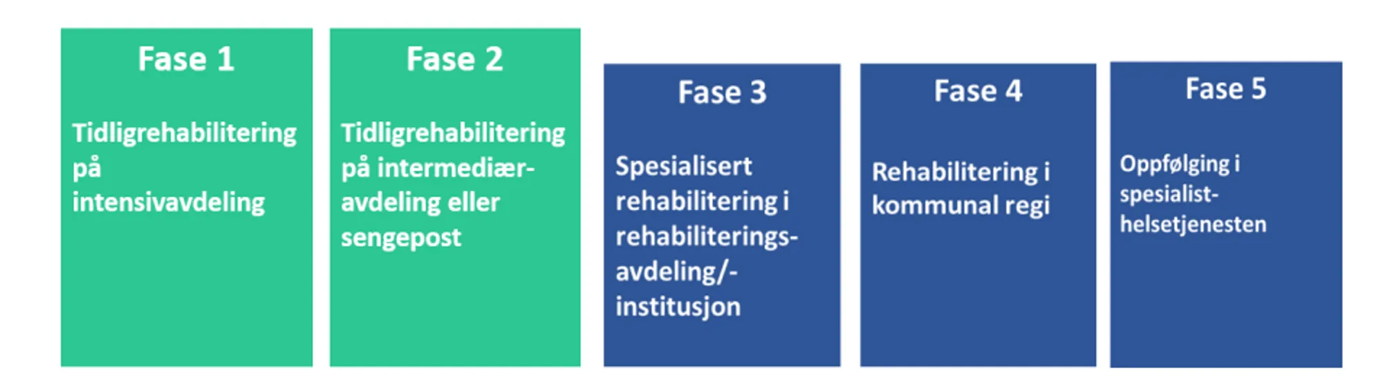 Pasientforløp tidligrehabilitering Helse Sør-Øst