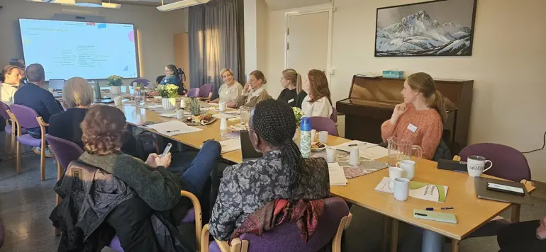 Noen av workshopdeltakerne i møterommet