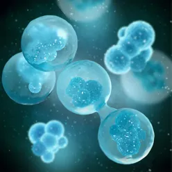 A group of blue jellyfish